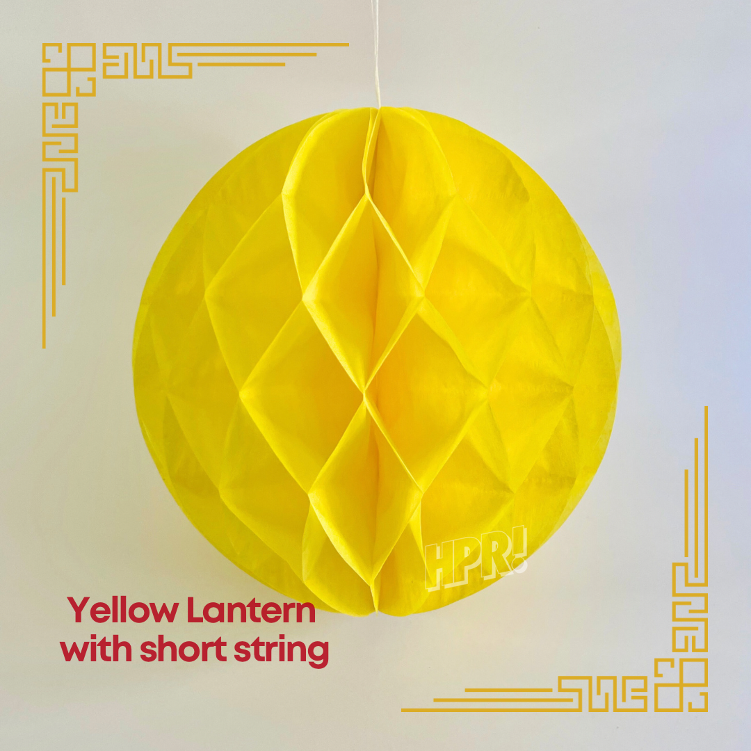 Chinese New Year Hanging Lanterns
