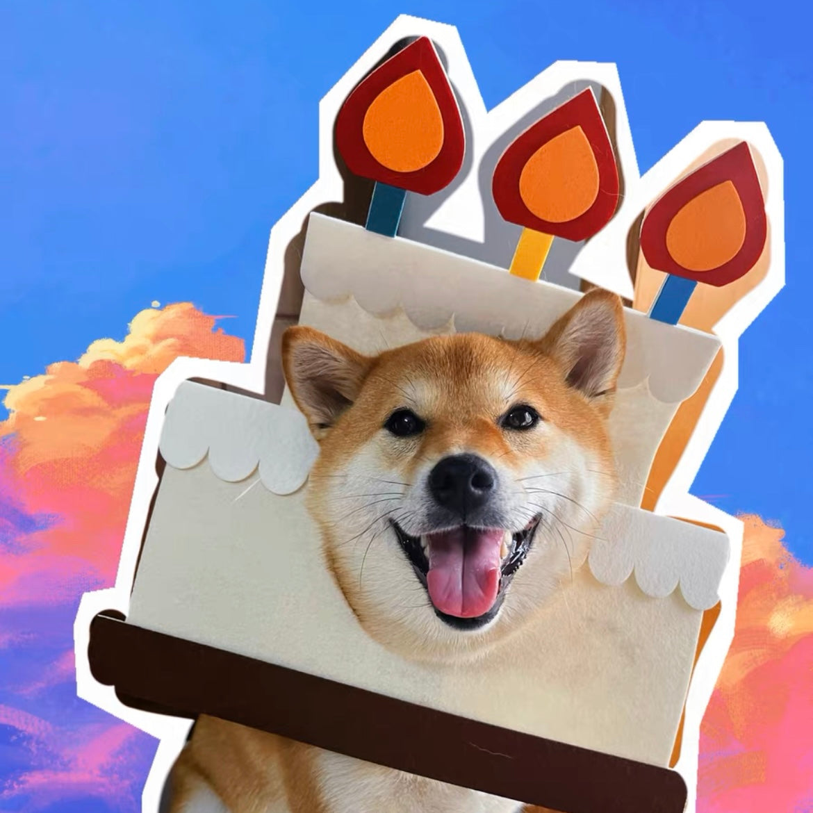 Birthday Cake Funny Party Hat