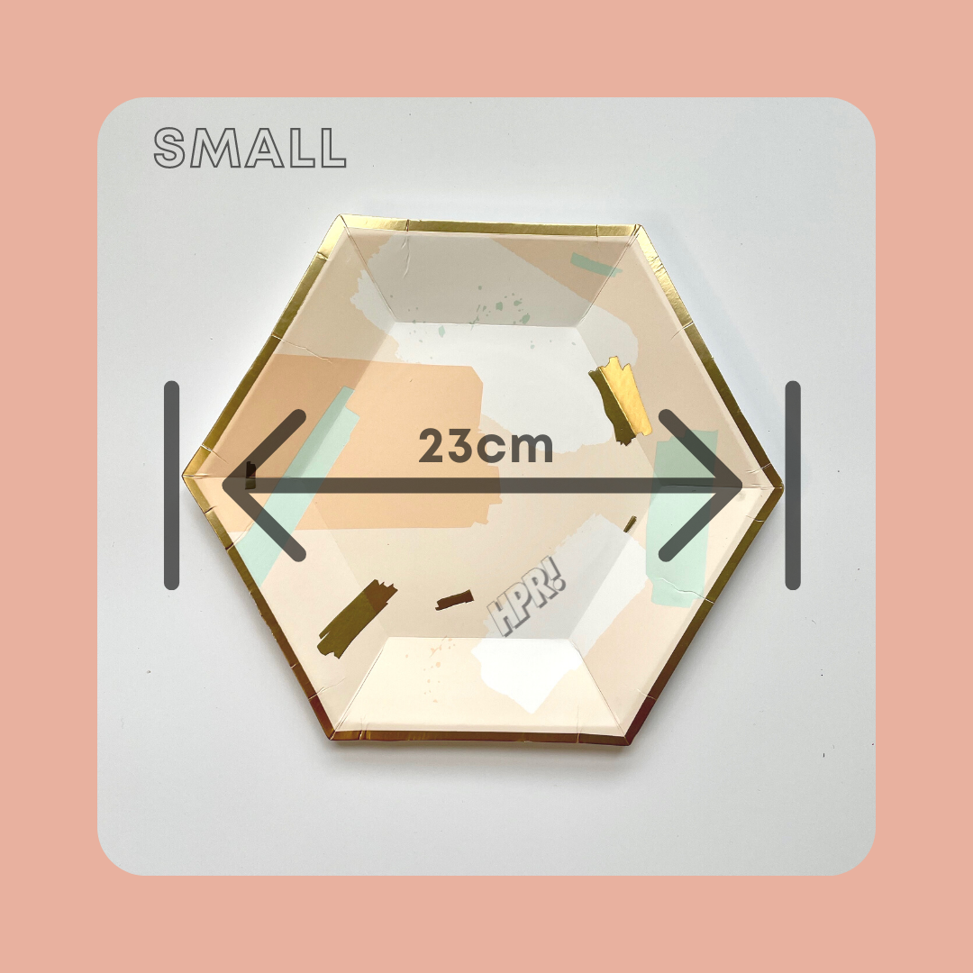 Pastel Party Paper Plates (8 pcs/packet)