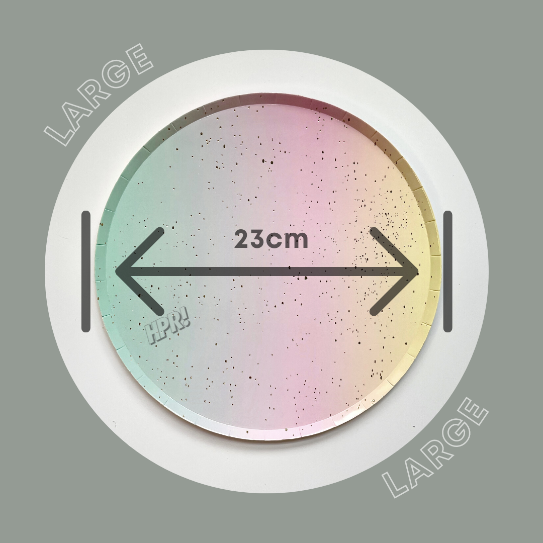 Rainbow Ombre Party Paper Plates (8pcs / packet)