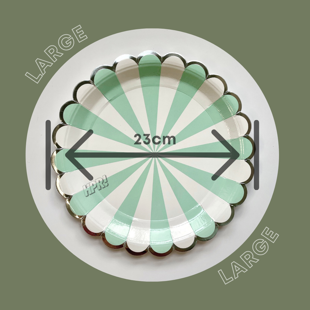 Candy Party Paper Plate (8 pcs/pack)